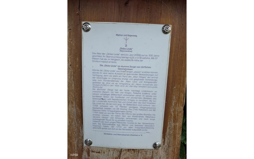 Winterlinde in Winterberg-Züschen