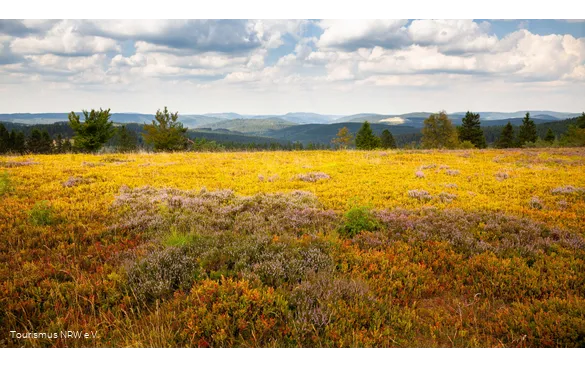 Kahle Asten | Winterberg