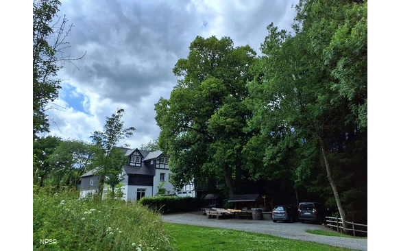 Linde in Meschede-Remblinghausen