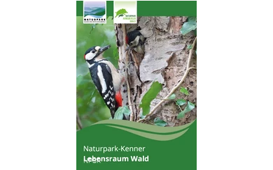 „Naturpark-Kenner entdecken den Lebensraum Wald“