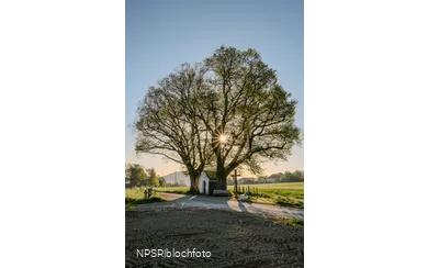 Linde Schmallenberg-Fleckenberg