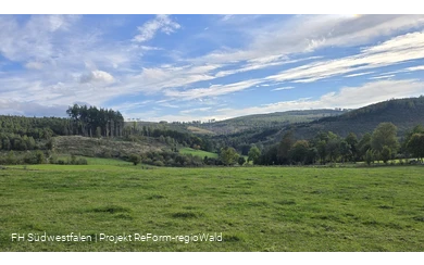 Waldlandschaften in Südwestfalen