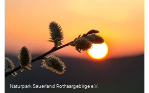 ... Sonnenuntergangsstimmung im Märkischen Sauerla