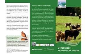Ochsentour