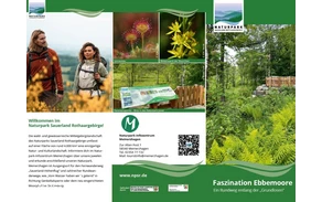 Faszination Ebbemoore