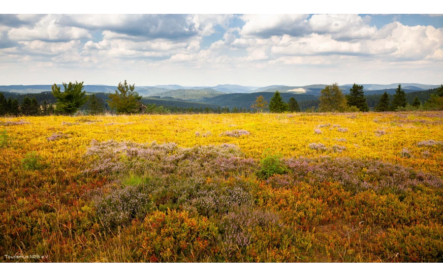 Kahle Asten | Winterberg