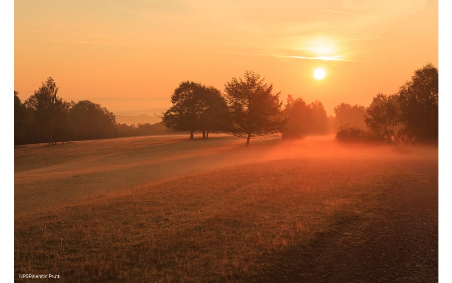 Sonnenaufgang Trupbacher Heide