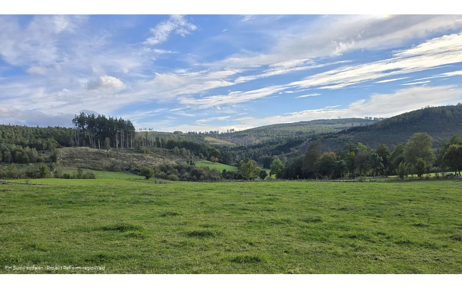 Waldlandschaften in Südwestfalen