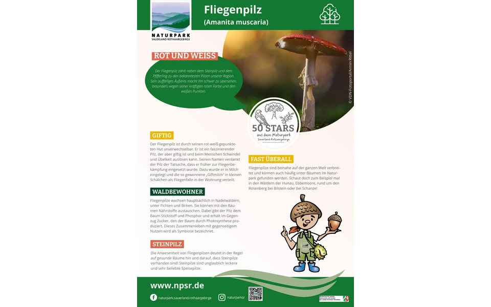 09_Fliegenpilz