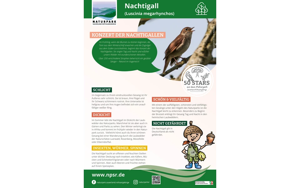 30_Nachtigall