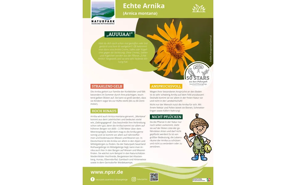 01_Arnika