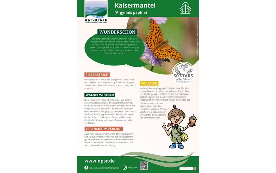21_Kaisermantel