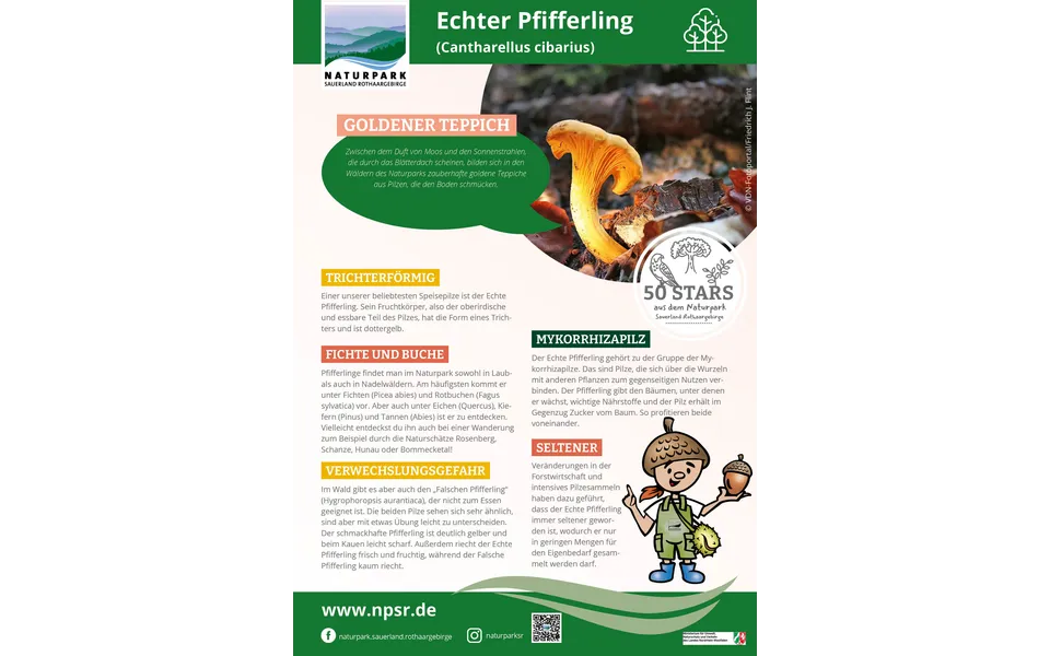 32_Pfifferling