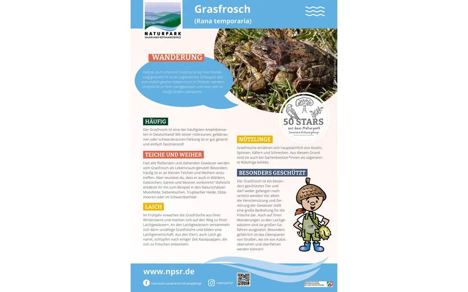 13_Grasfrosch
