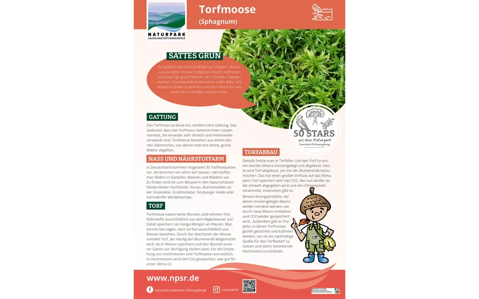 42_Torfmoos
