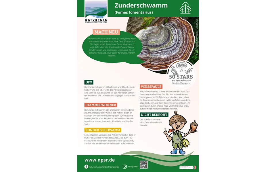 52_Zunderschwamm