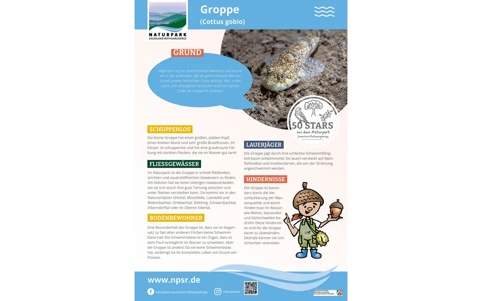 14_Groppe