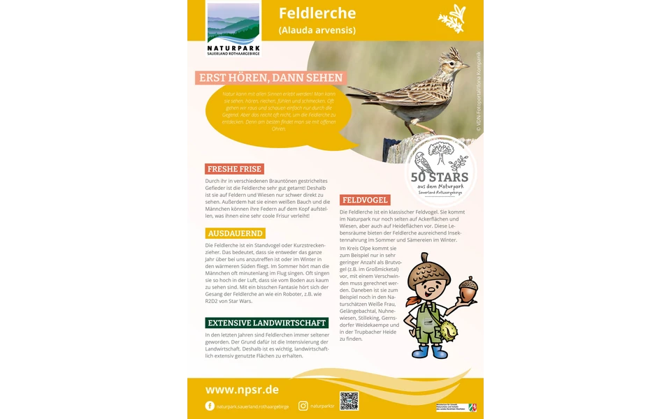 07_Feldlerche