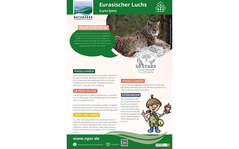 27_Luchs