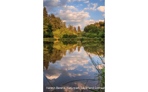 Impressionen des Dollenbrucher Weihers