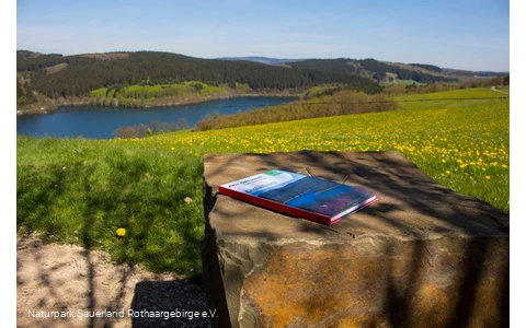 Den Listerblick genießen - auf dem Stein liegend:
