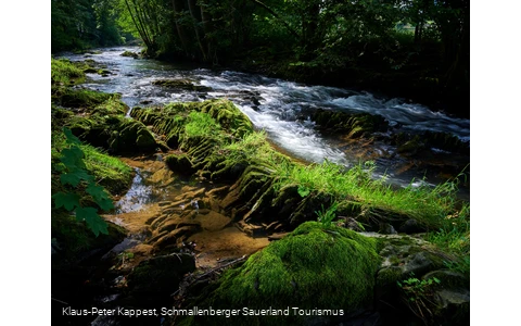 Die Wenne am Wennepfad in Wenholthausen