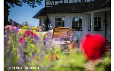 Biergarten Hotel Waldhaus