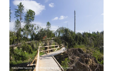 Kyrill-Pfad bei Schanze