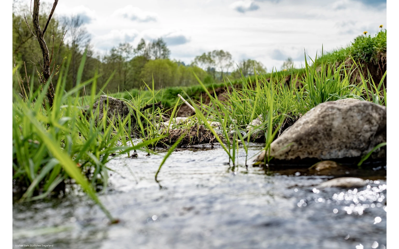 Der Wetterbach in Holzhausen