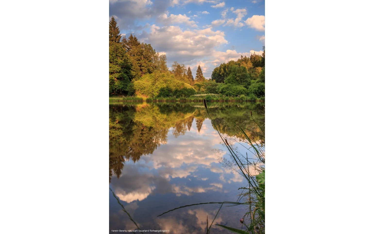 Impressionen des Dollenbrucher Weihers