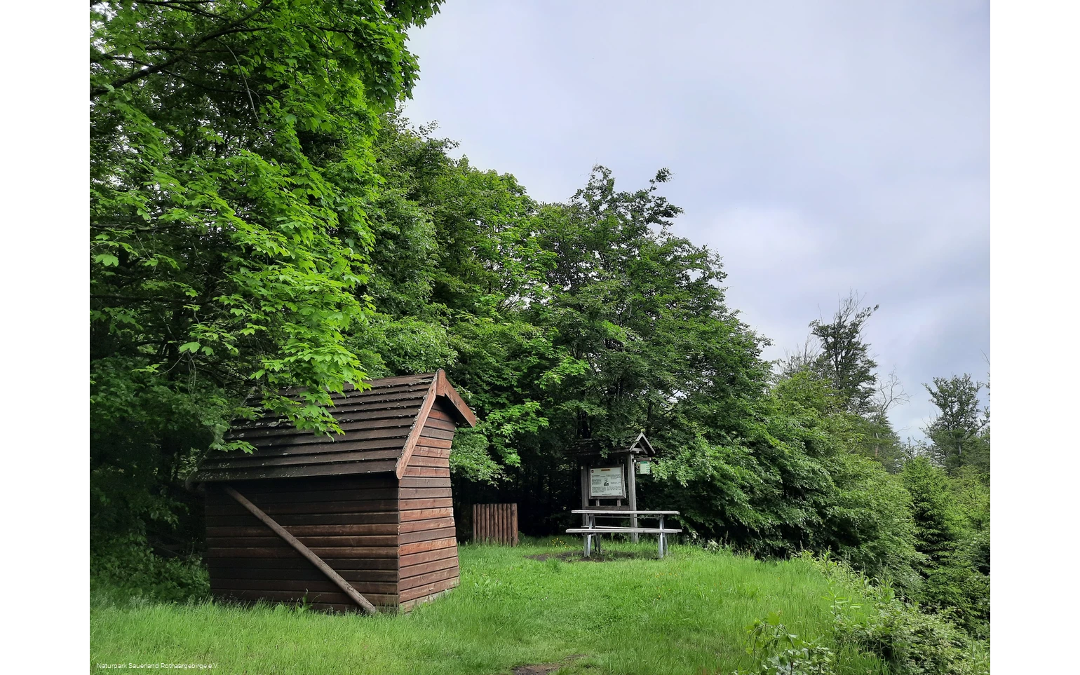 Pausenort im Wald