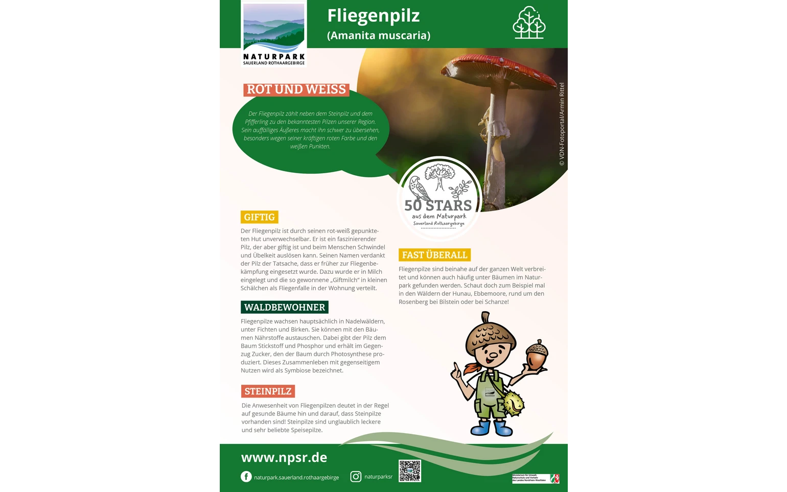 09_Fliegenpilz