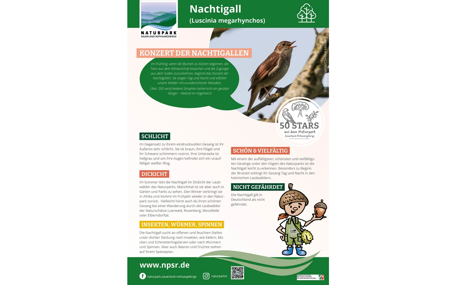 30_Nachtigall