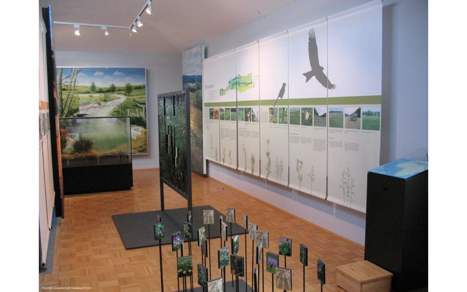 Naturpark Infozentrum Sauerland-Rothaargebirge