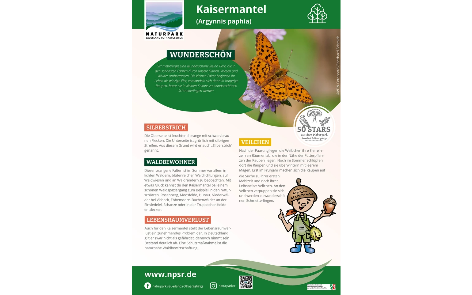 21_Kaisermantel