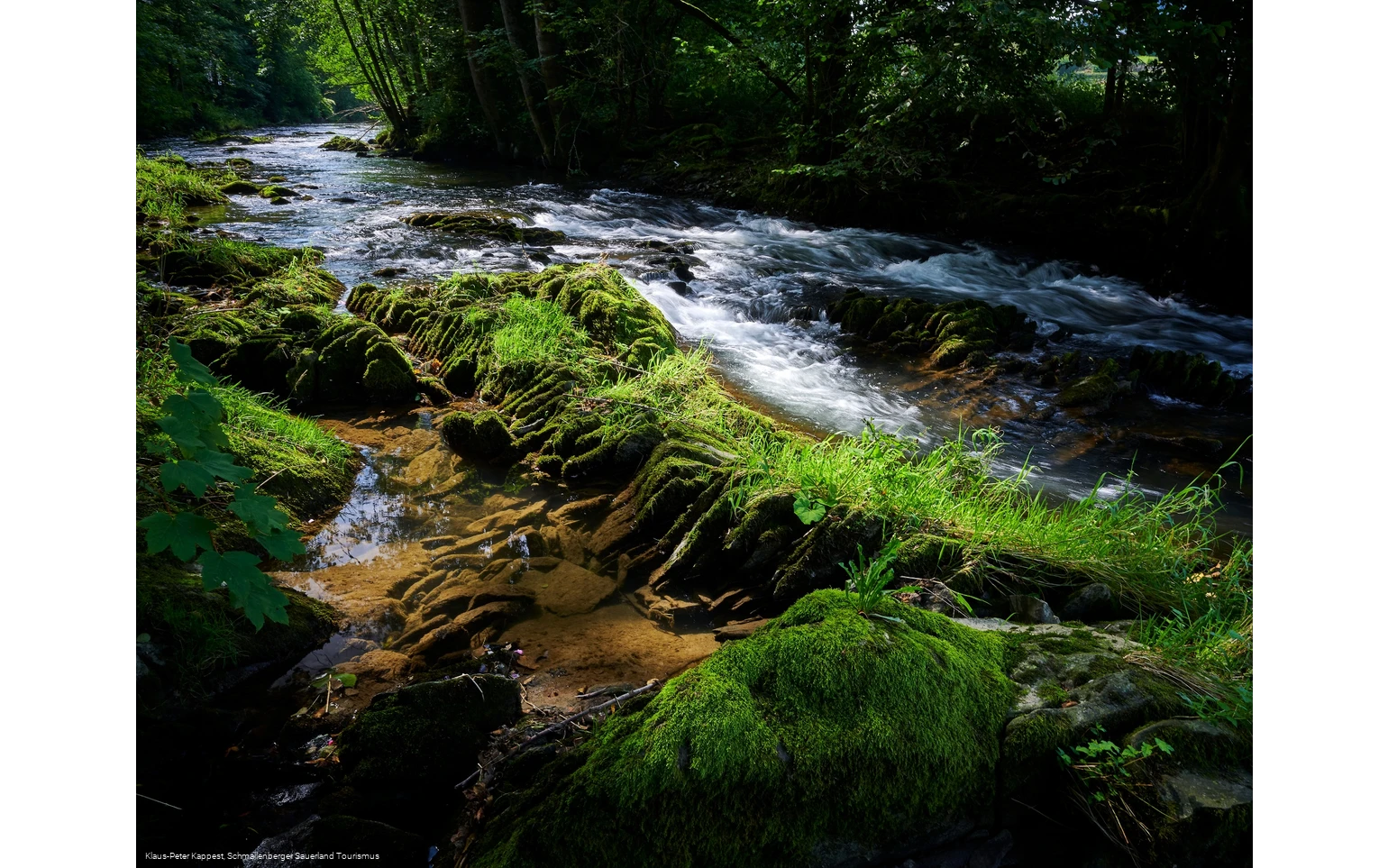Die Wenne am Wennepfad in Wenholthausen