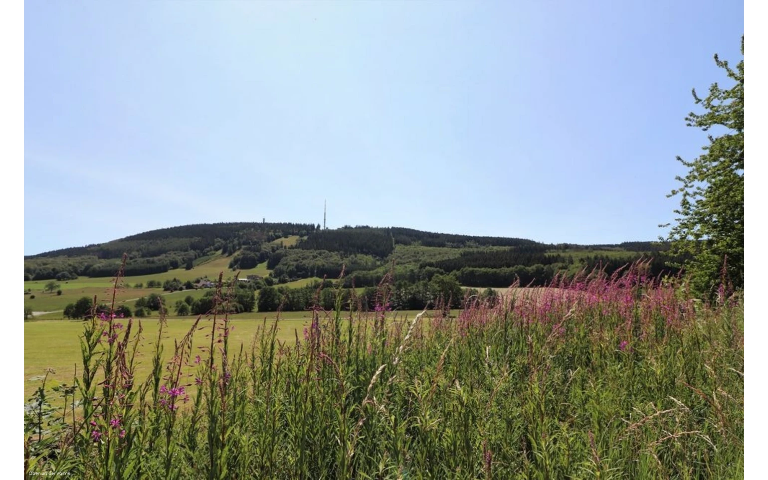 Blick auf die Nordhelle aus Richtung Reblin (Hersc