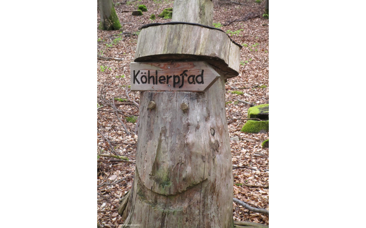 Auf den Spuren der Köhlerei