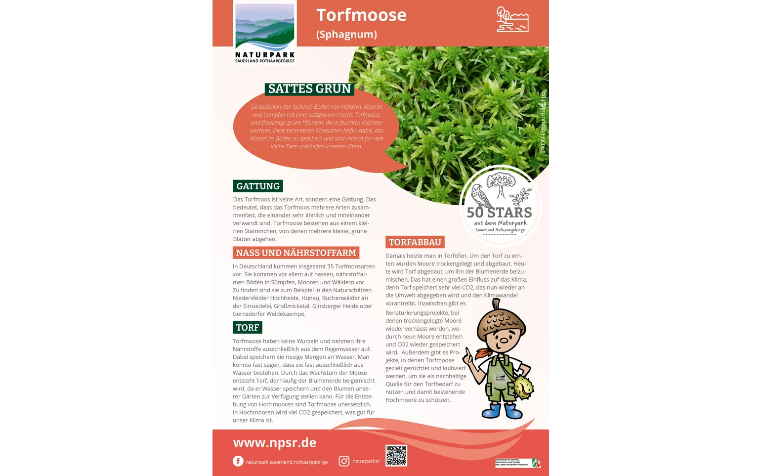 42_Torfmoos