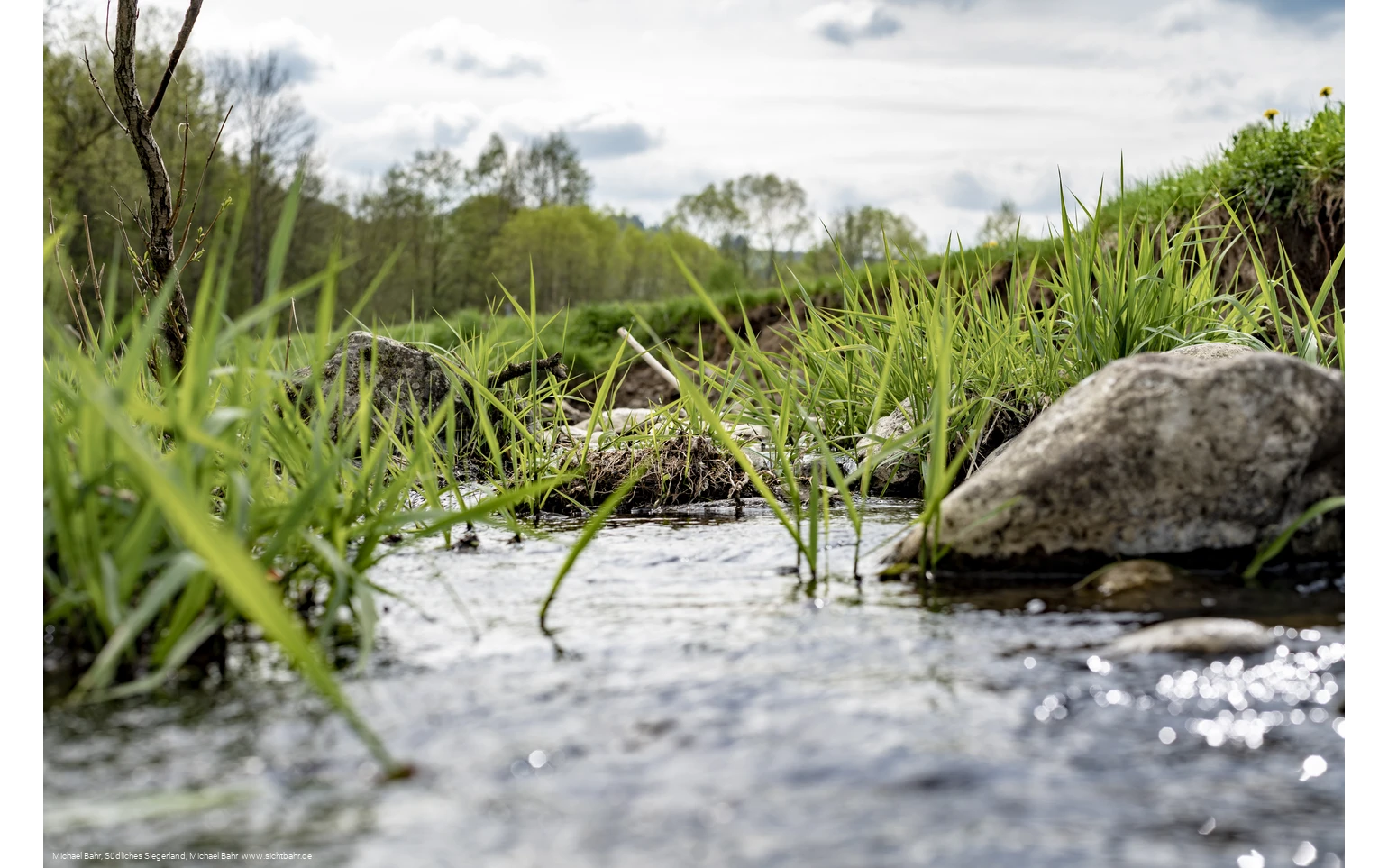 Der Wetterbach in Holzhausen