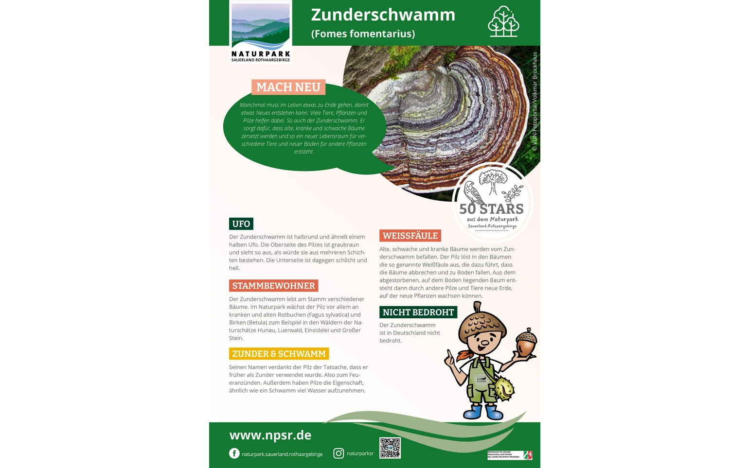 52_Zunderschwamm
