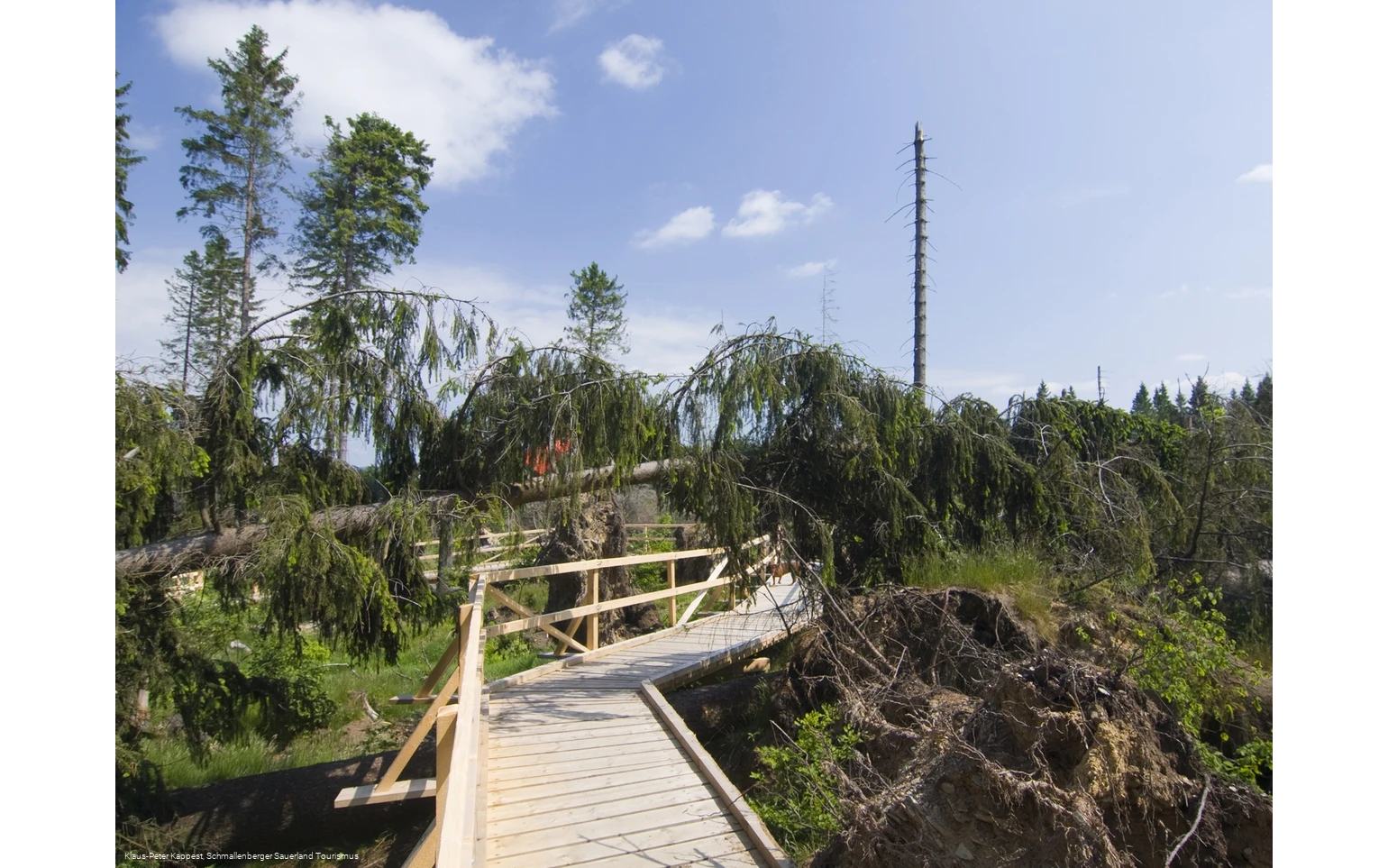 Kyrill-Pfad bei Schanze