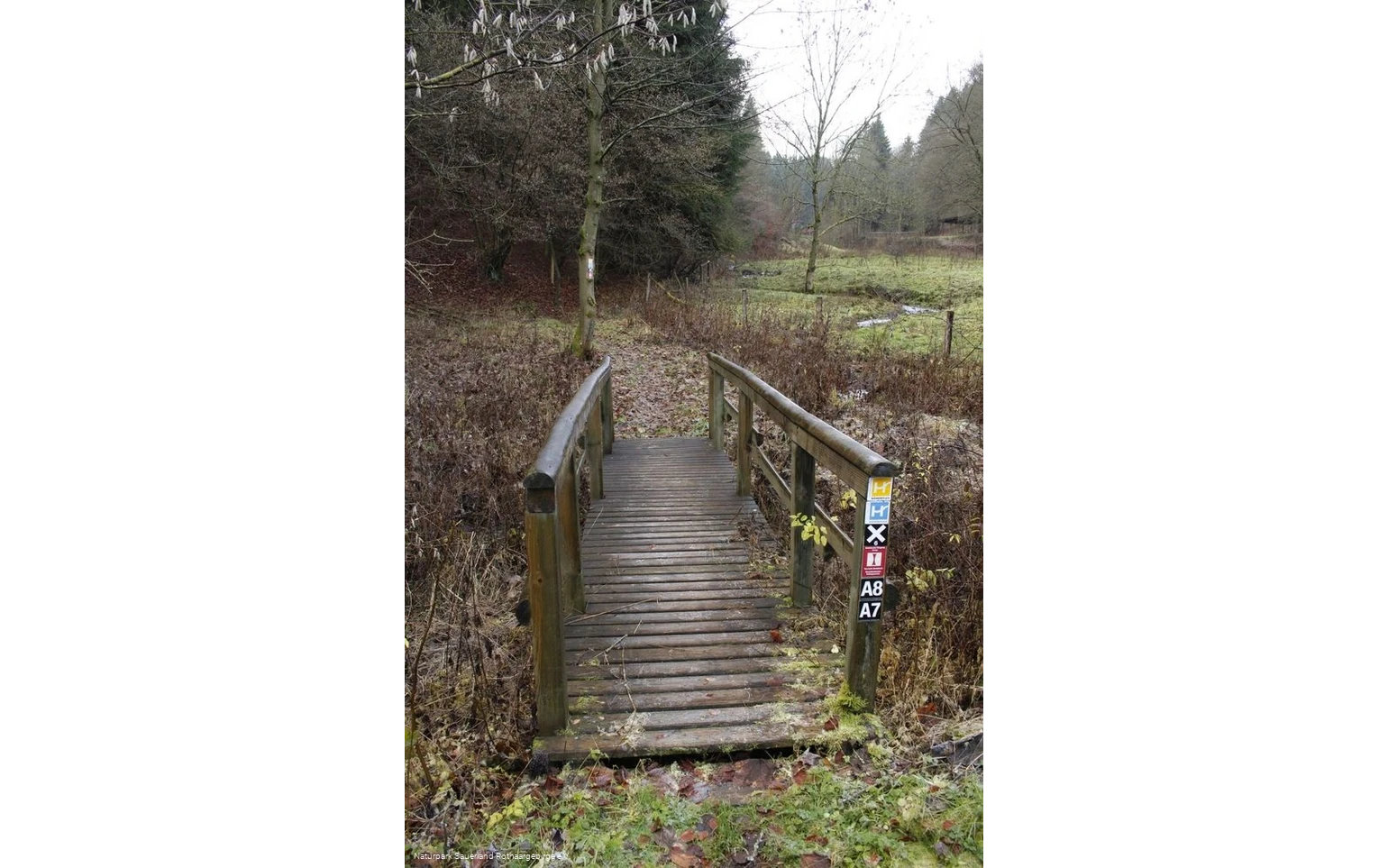 Viele Wanderwege führen hier entlang