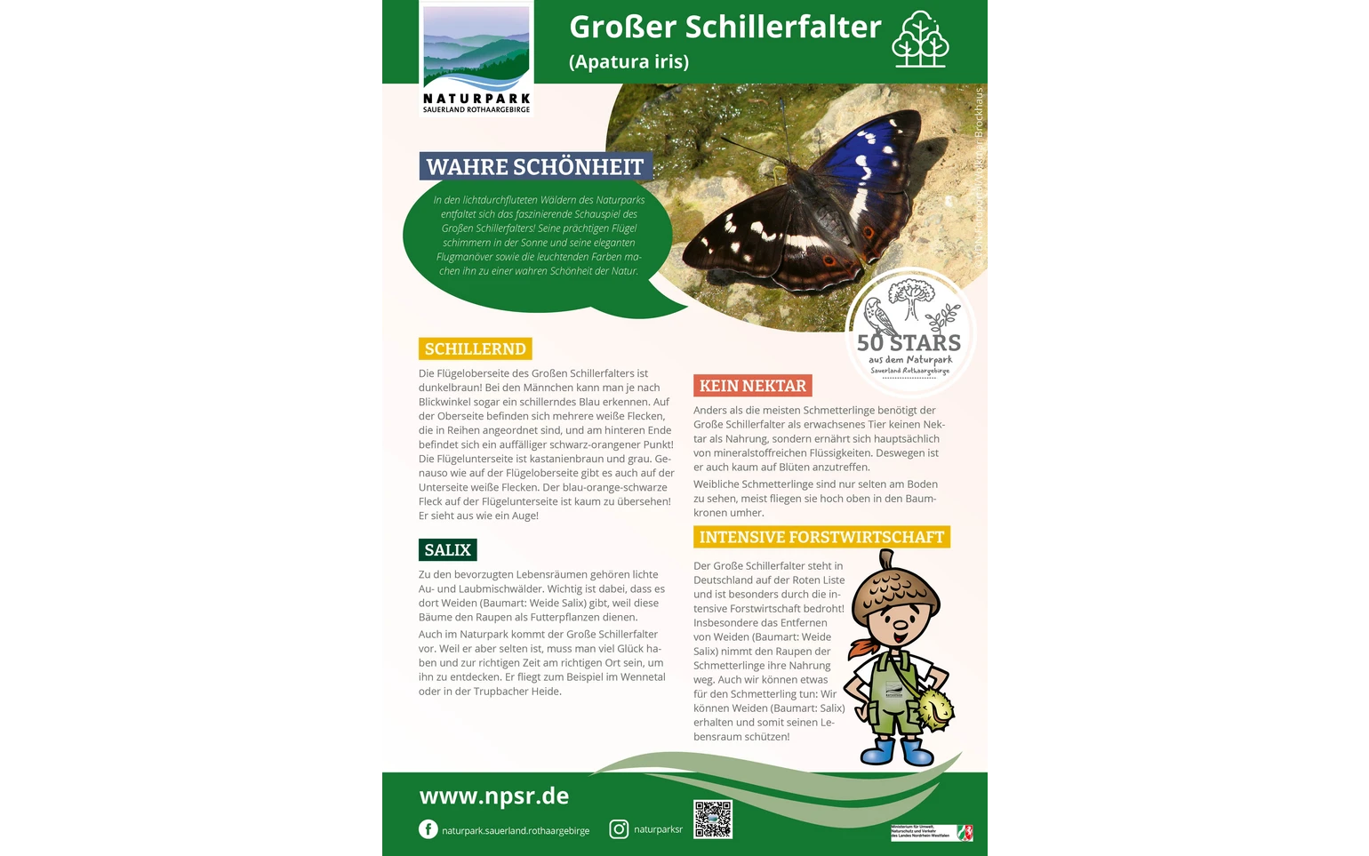 15_Schillerfalter