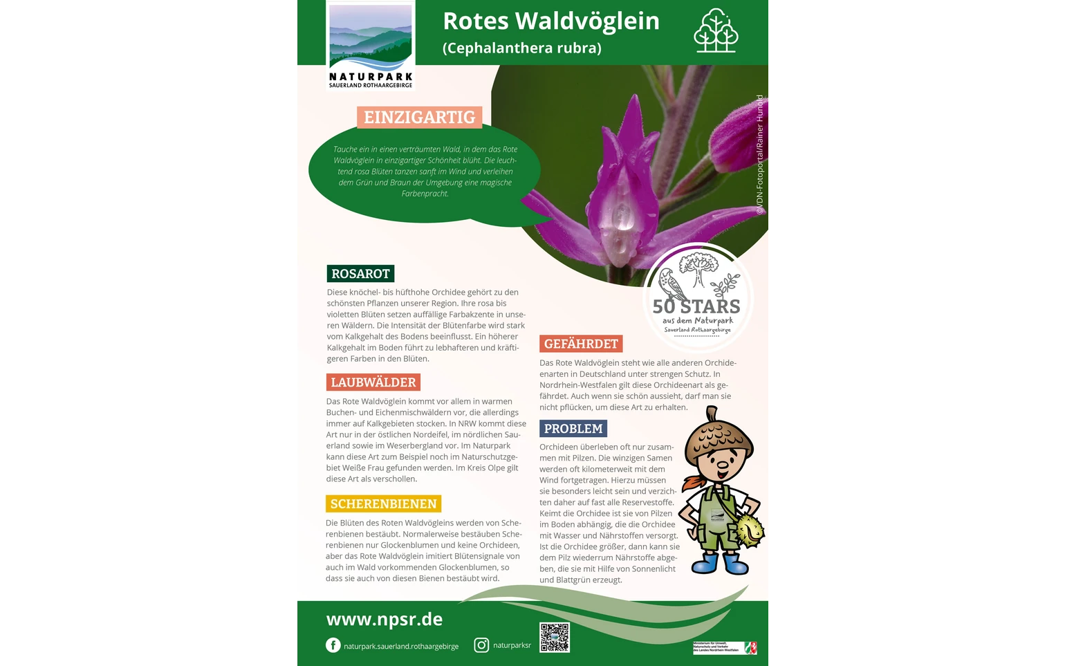 45_Waldvöglein