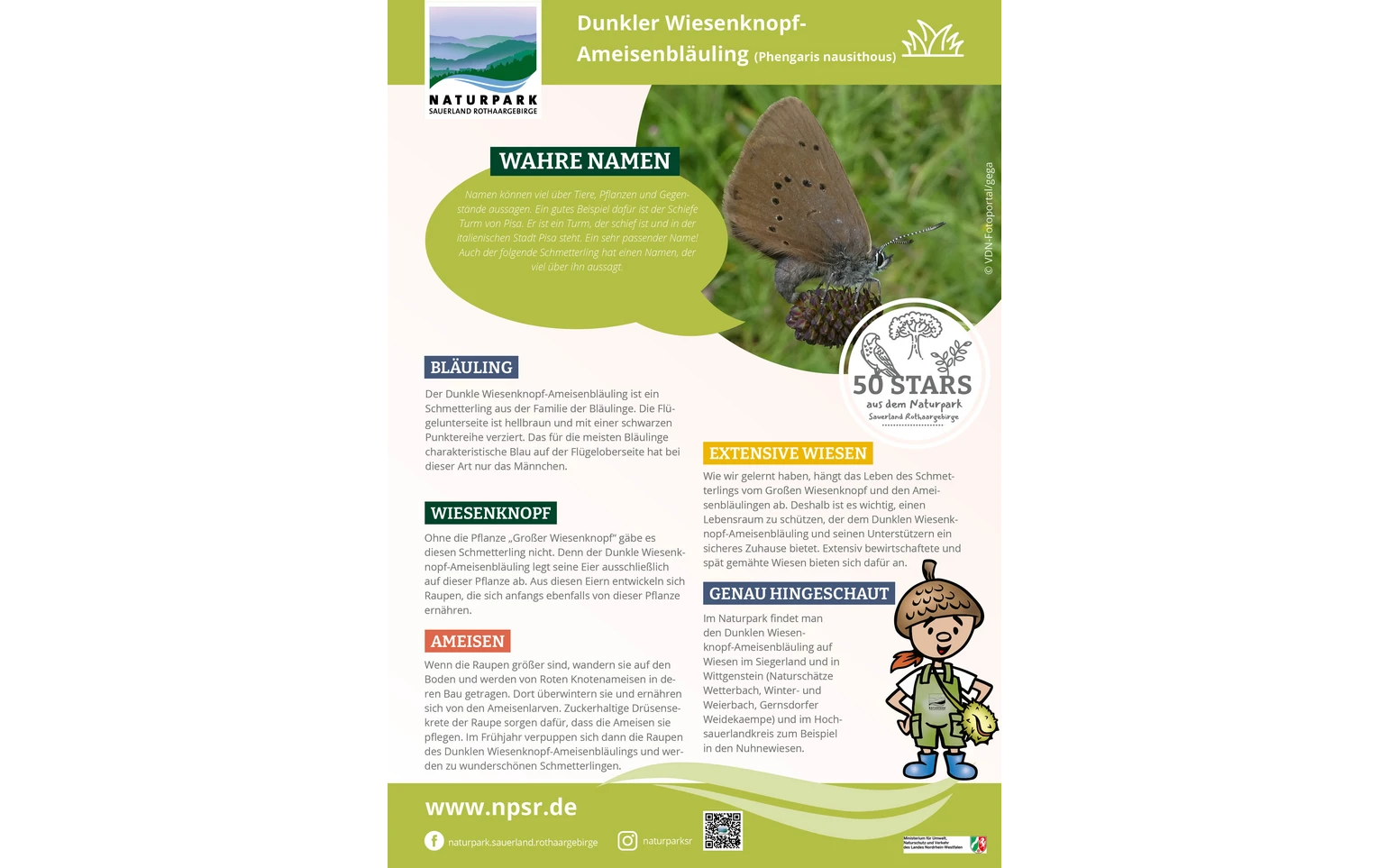 05_Wiesenknopf-Ameisenbläuling