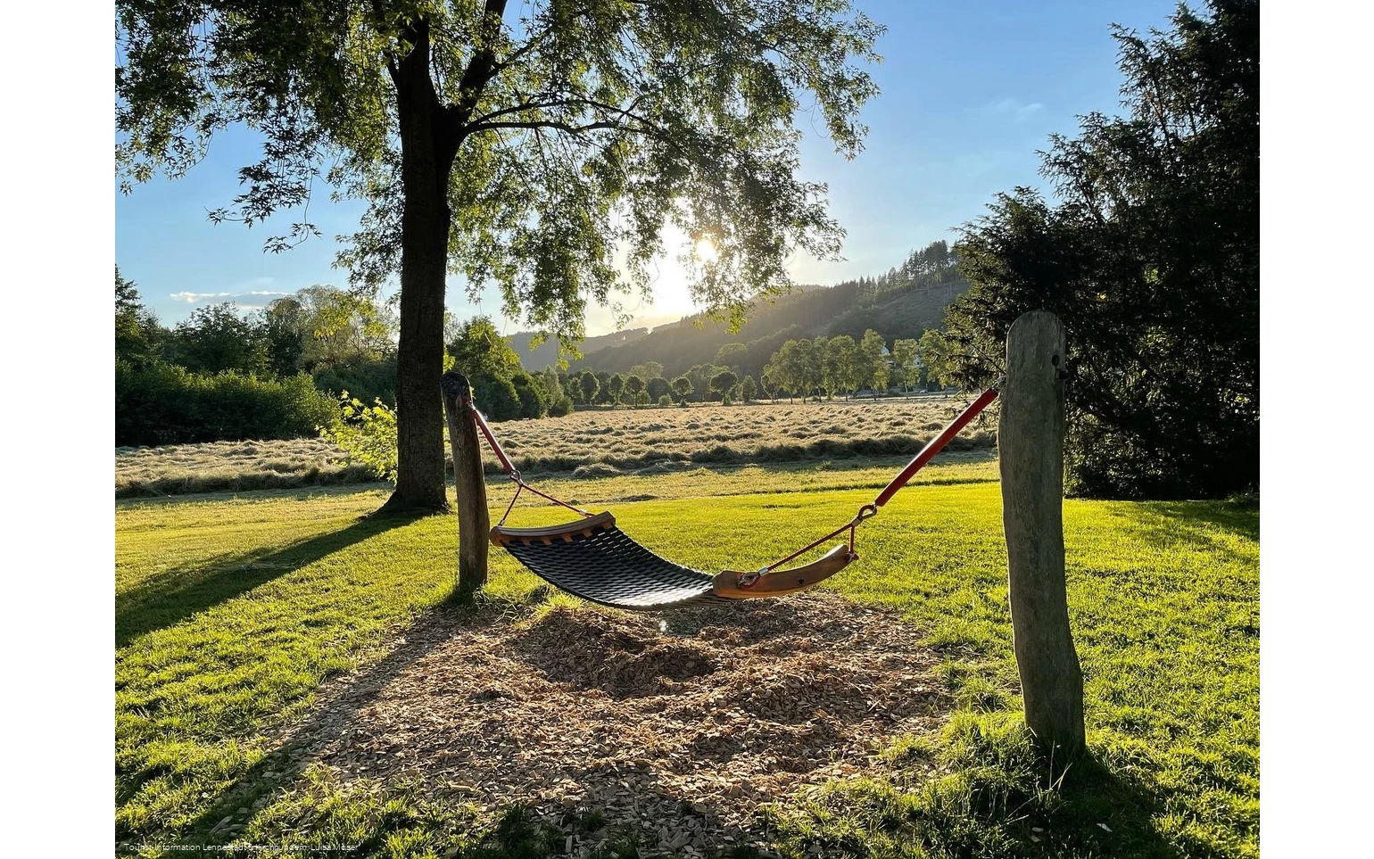 Hängematte TalVITAL