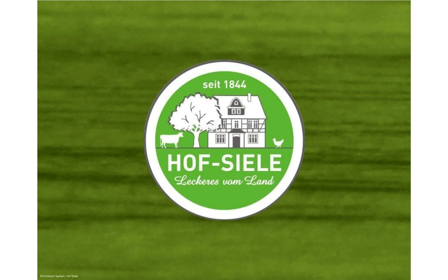 Logo Hof Siele.jpg