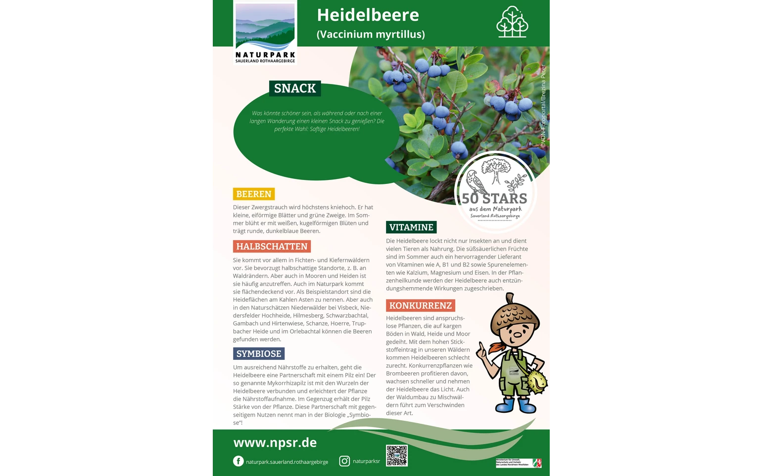18_Heidelbeere