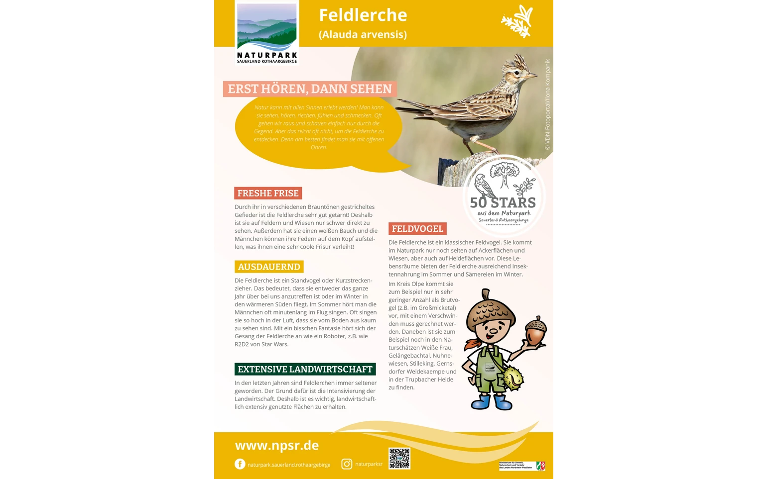 07_Feldlerche